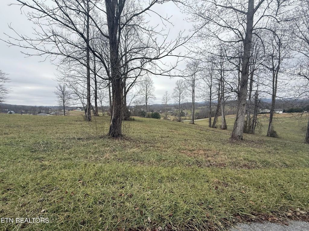 Lot #23 Oak Point Drive, Jonesville