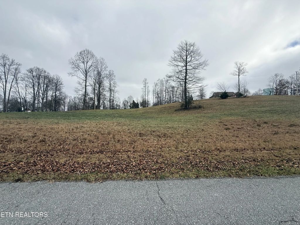 Lot #29 Oak Point Drive, Jonesville