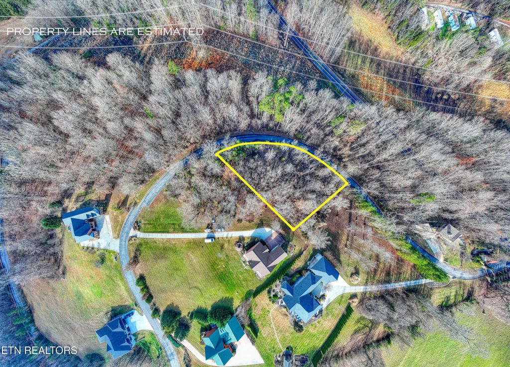 Lot 77 Shiloh Springs Rd, Rutledge