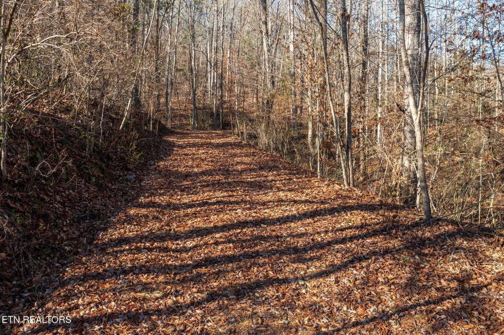 636 Butler Mill Rd, Maryville