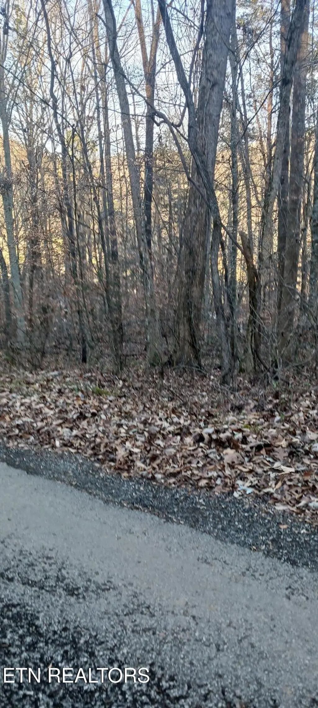 Braden Chapel Rd, Speedwell