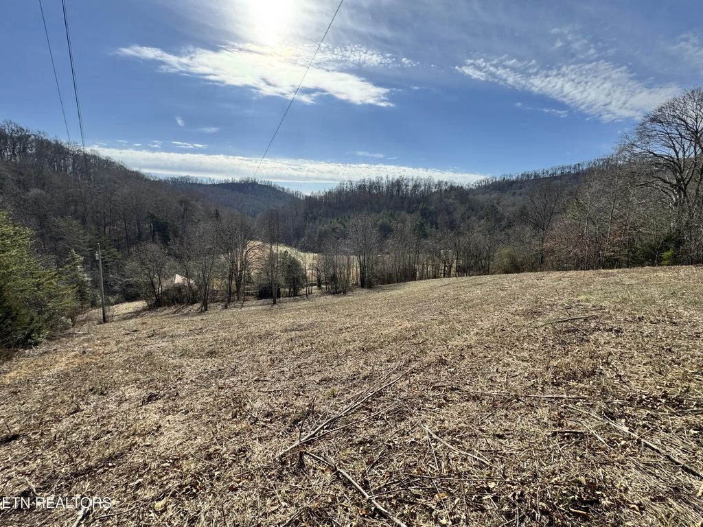 1135 Ned Clark Rd, Bean Station