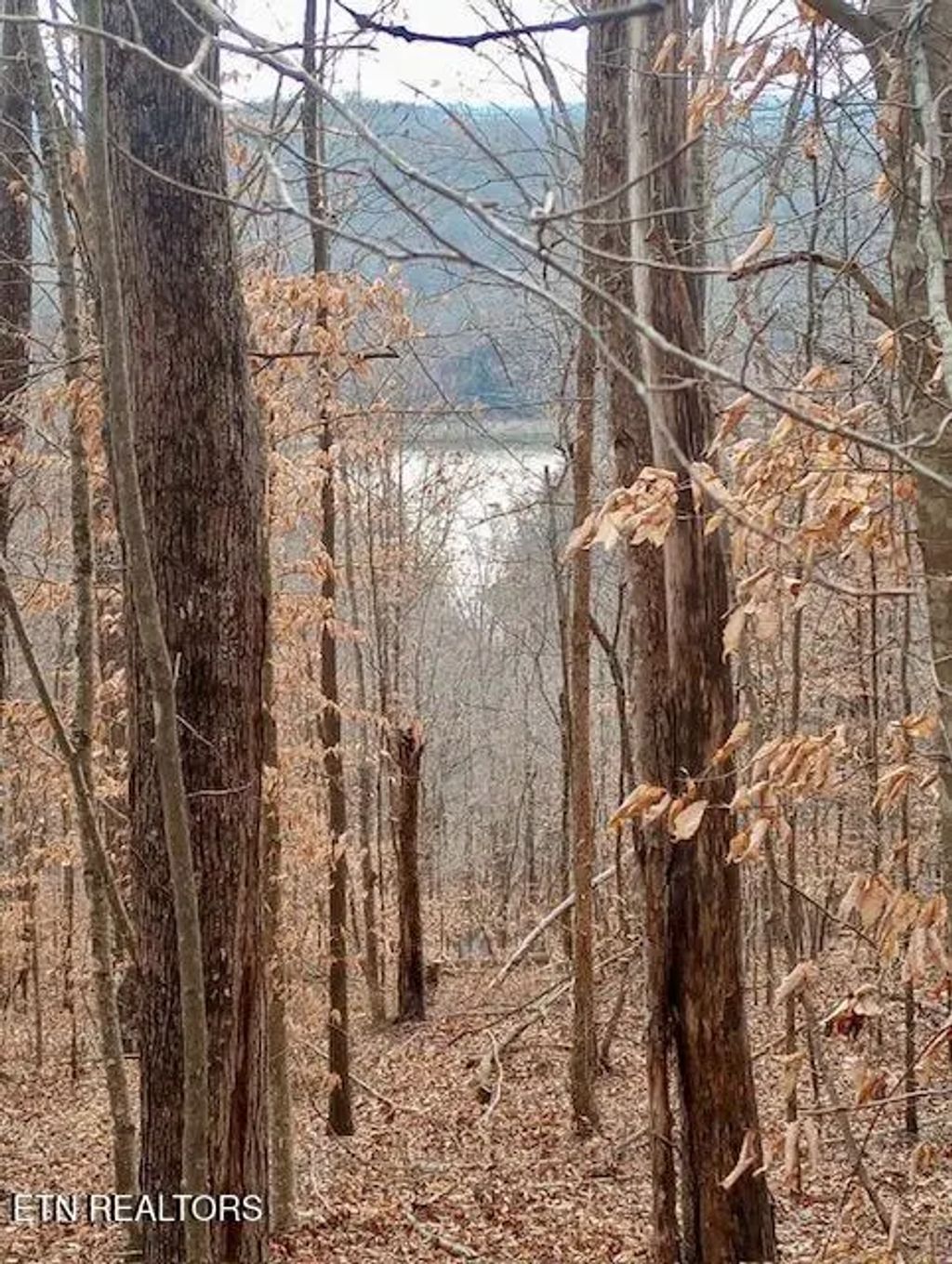 Lot 145 Whistle Valley Rd, New Tazewell