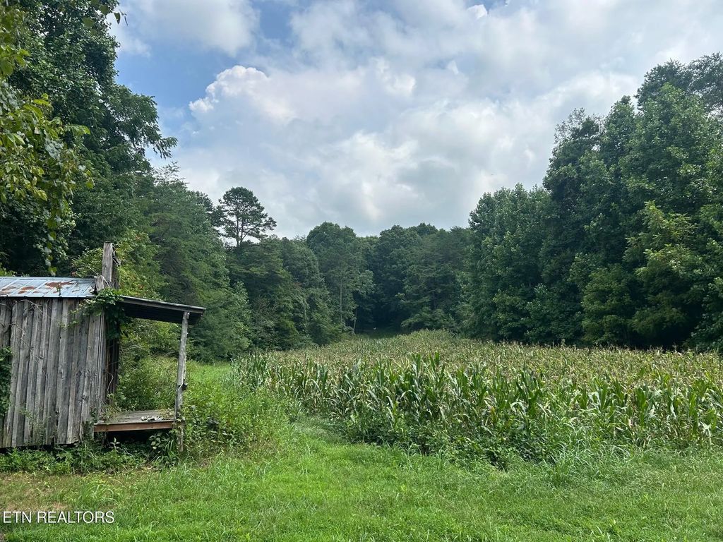 Tract 17 Pleasant View Cemetery Rd, New Market