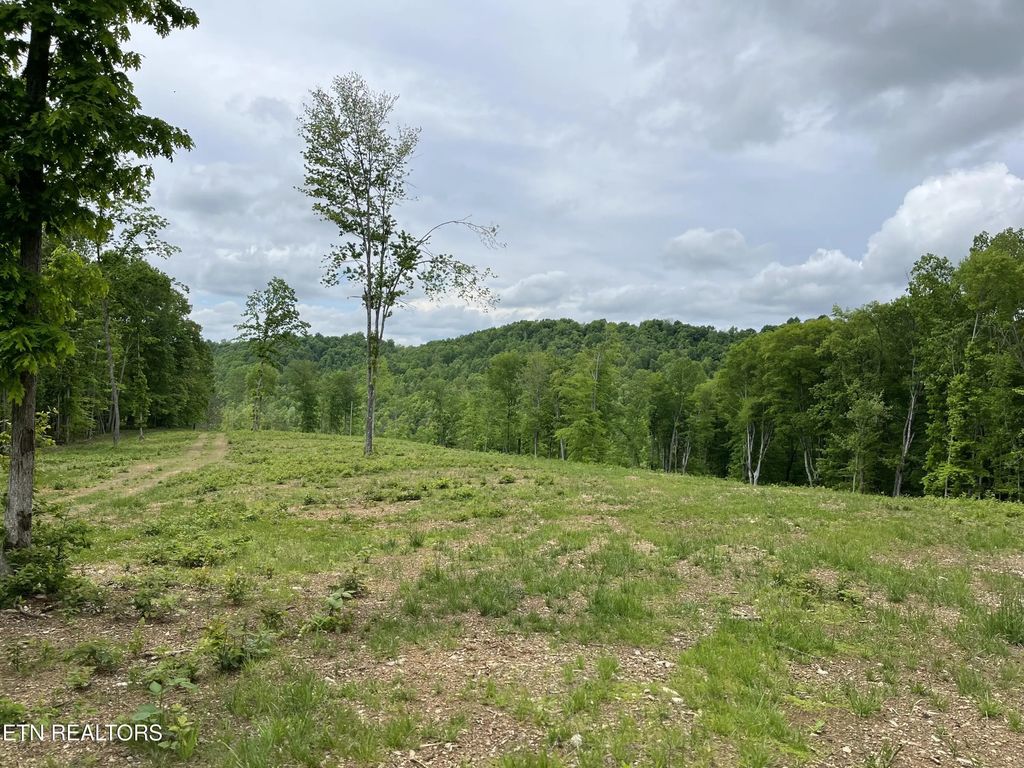 123 Ingle Lane, Tazewell