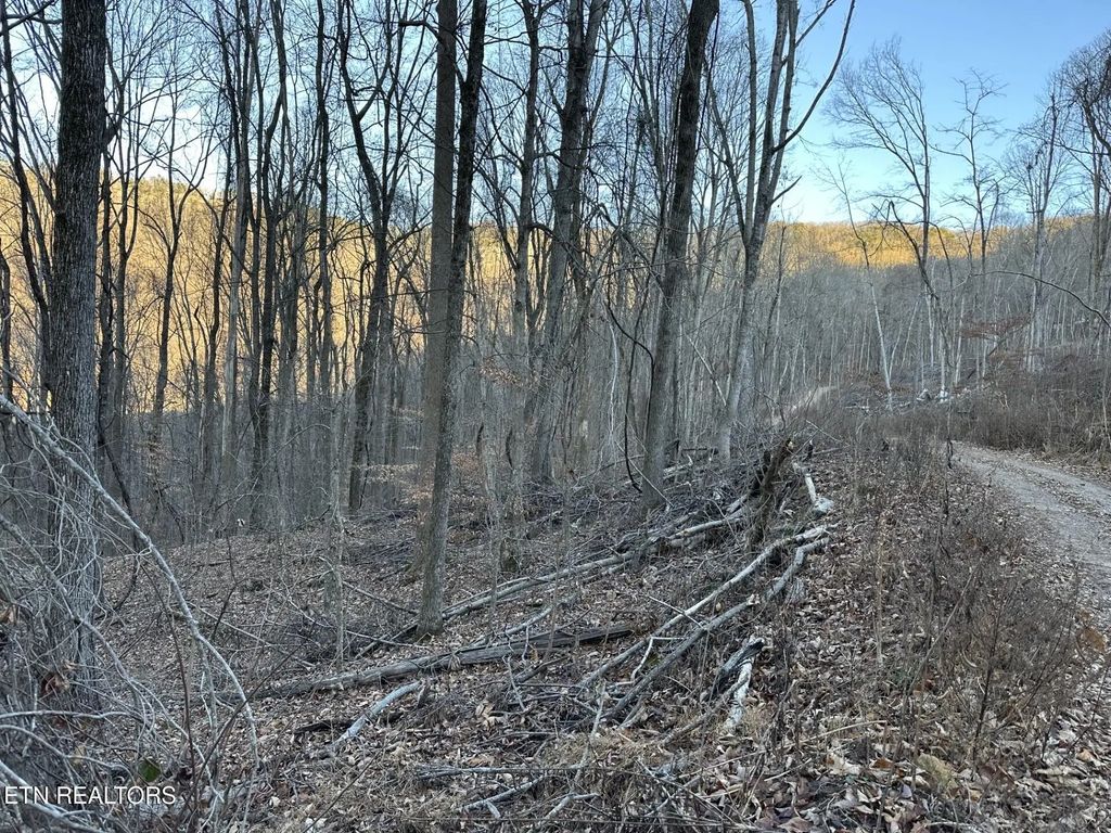 Stone Ridge Road, Pikeville