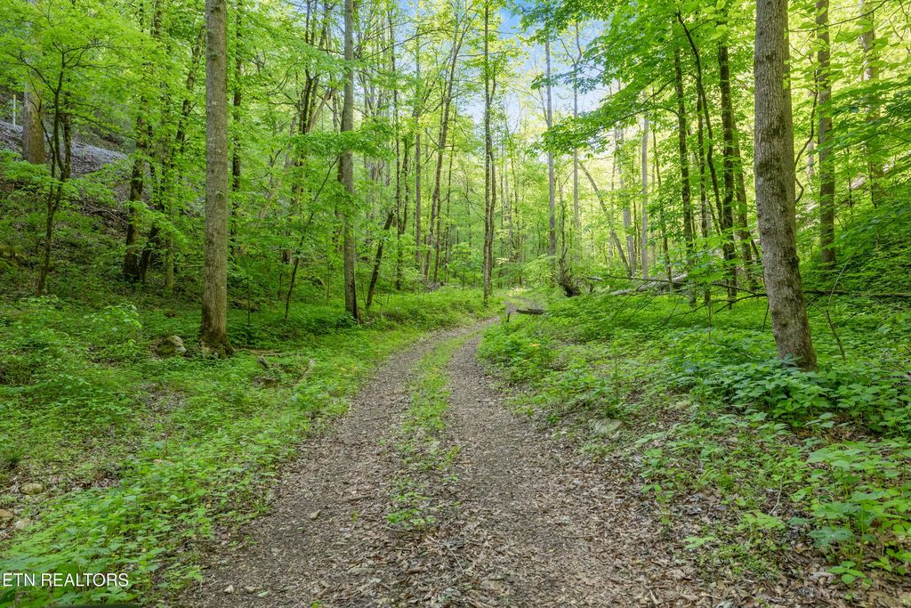 Bunch Hollow Rd, New Tazewell