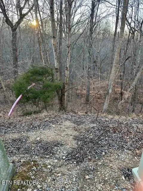 124 Old Hearth, LaFollette