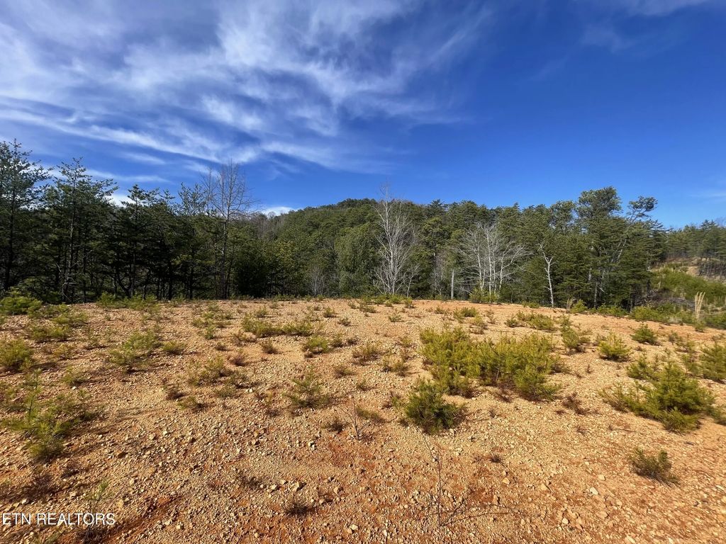 Lot 36 Bullet Mountain Drive, Tellico Plains
