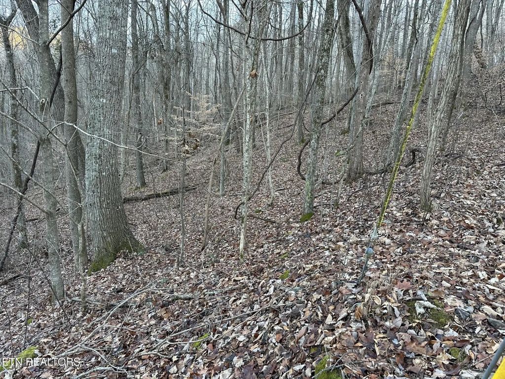 83 Stone Ridge Road, Pikeville