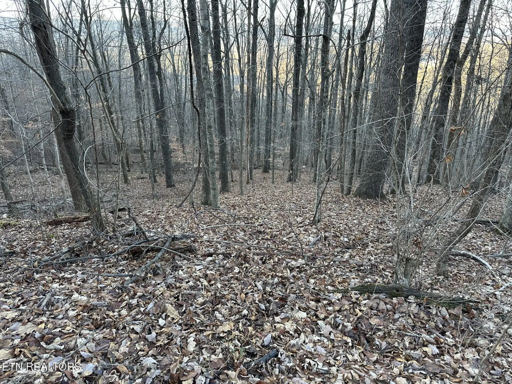 Fox Ridge Road, Pikeville
