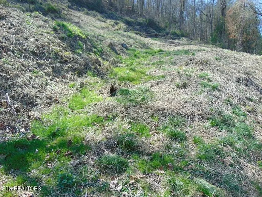 Walnut Lane, Pineville