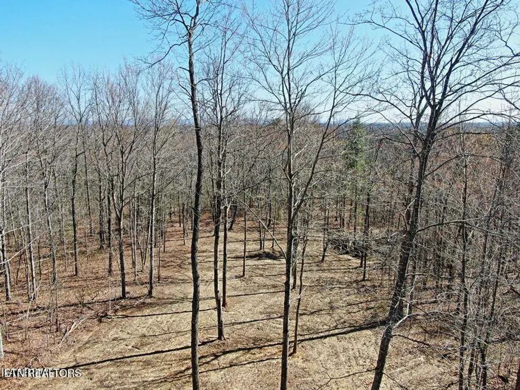 72 Acres Cole Place Rd, Allardt