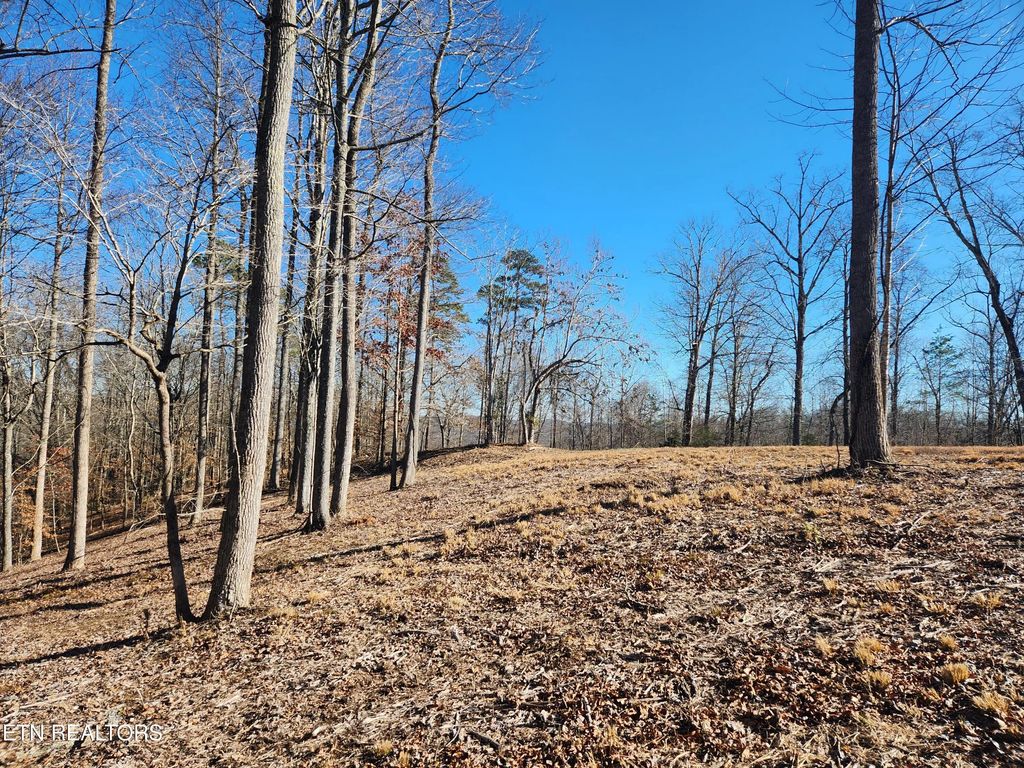 Lot 52 E Poplar Lane, LaFollette