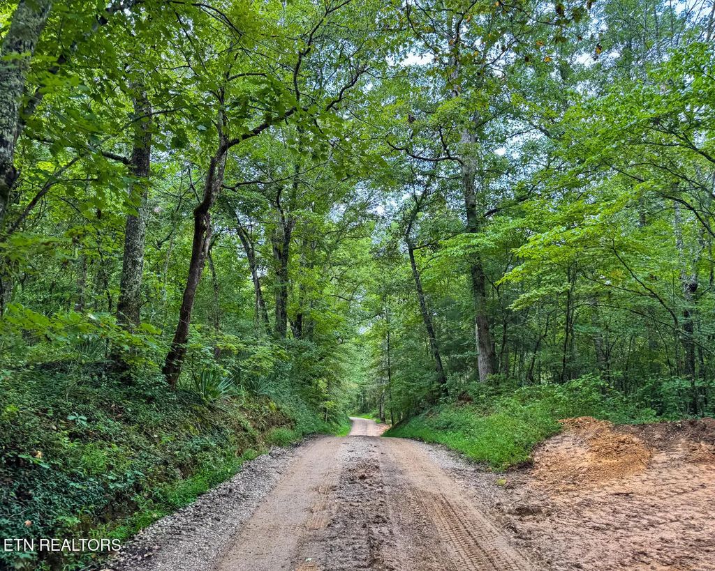 Sheep Ranch Rd., Robbins