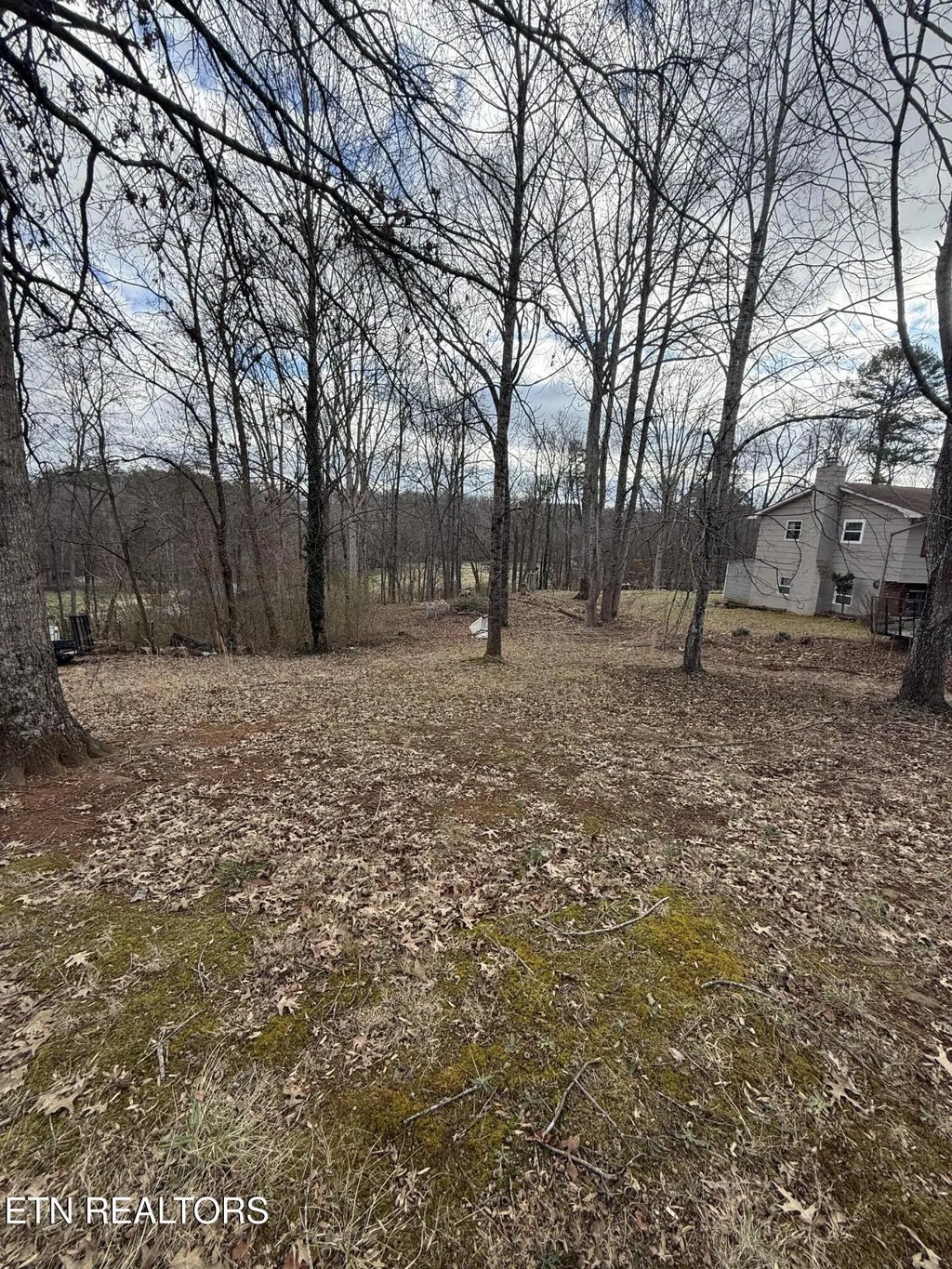 Melissa Lane, Maryville