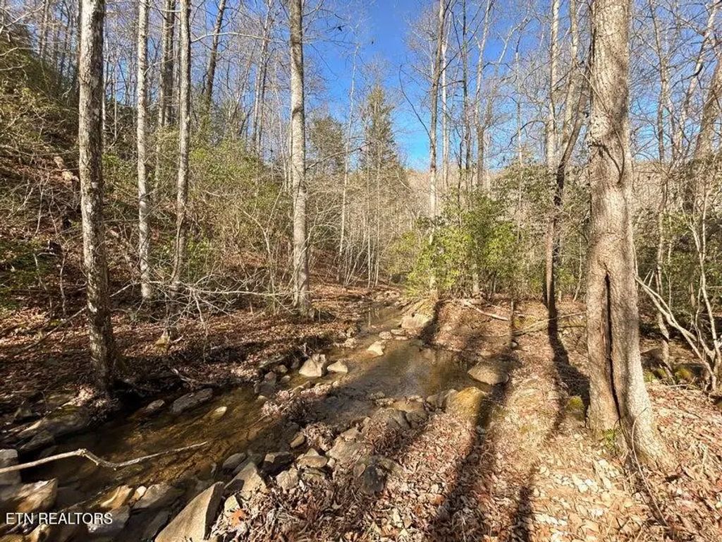 Deerhead Rd, Dunlap
