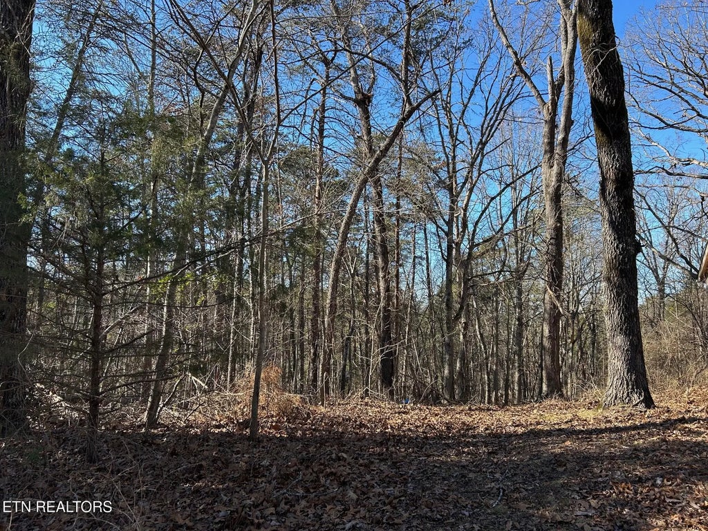 5737 Rest Camp Rd, Lenoir City