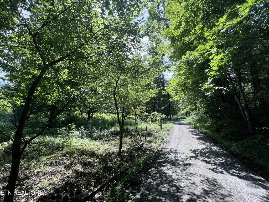 119 Wagon Hollow Rd, Middlesboro