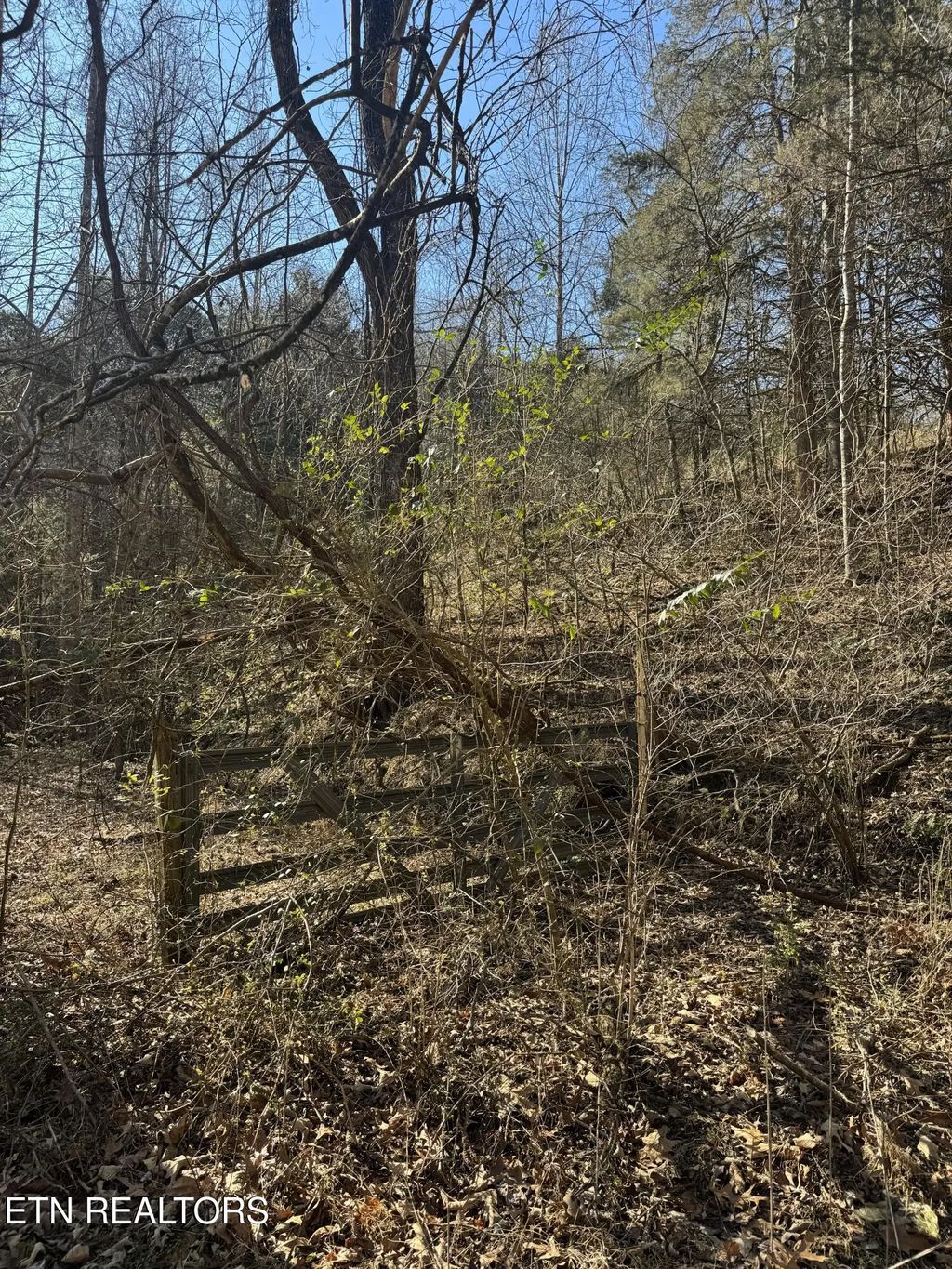 Molly Hollow Rd, New Tazewell