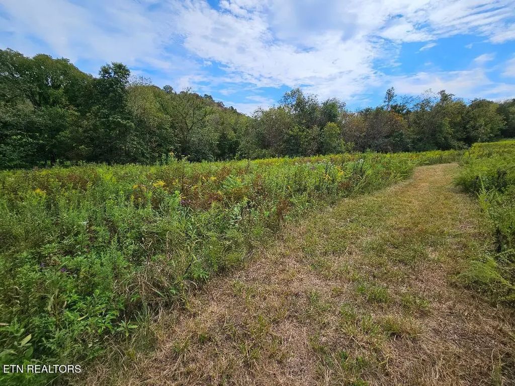 Tn-96, Buffalo Valley