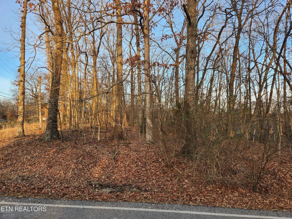 101 Ivy Brook Lane, Crossville
