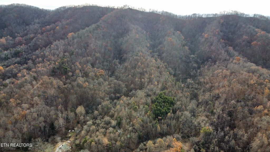 100 Acres Elum Coffey Rd, Thorn Hill