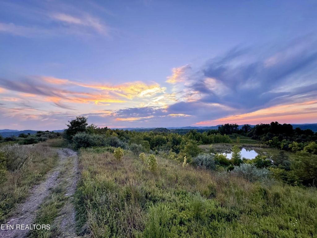 207 Lick Fork Lane, Pioneer