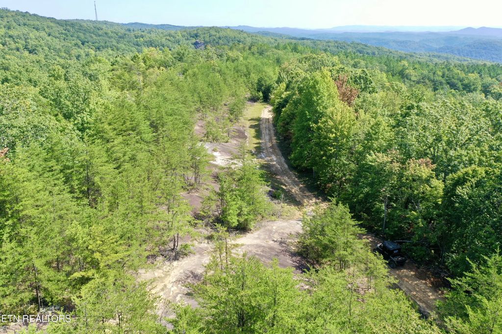 Stinking Creek Rd, Pioneer