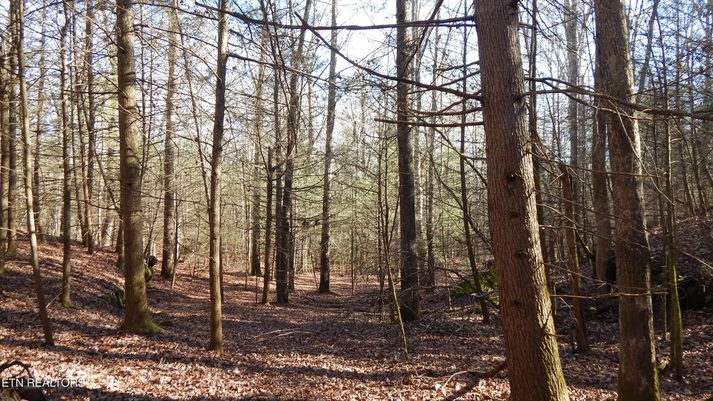 Bearpen Fork, Jamestown