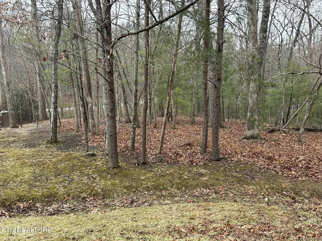 30 Clason Point, Fairfield Glade