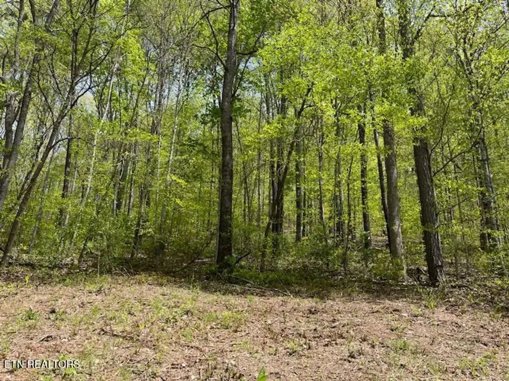 Cabin Rd, Speedwell