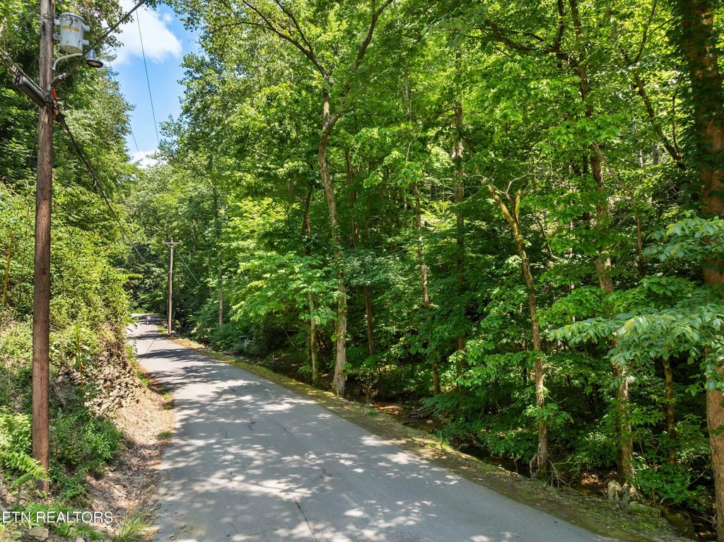 N Clear Fork Rd, Sevierville