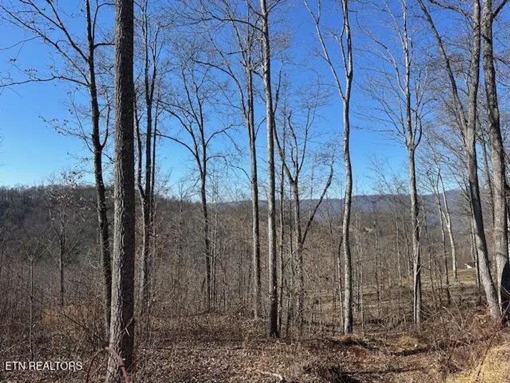 Dooley Hollow Rd, Ewing