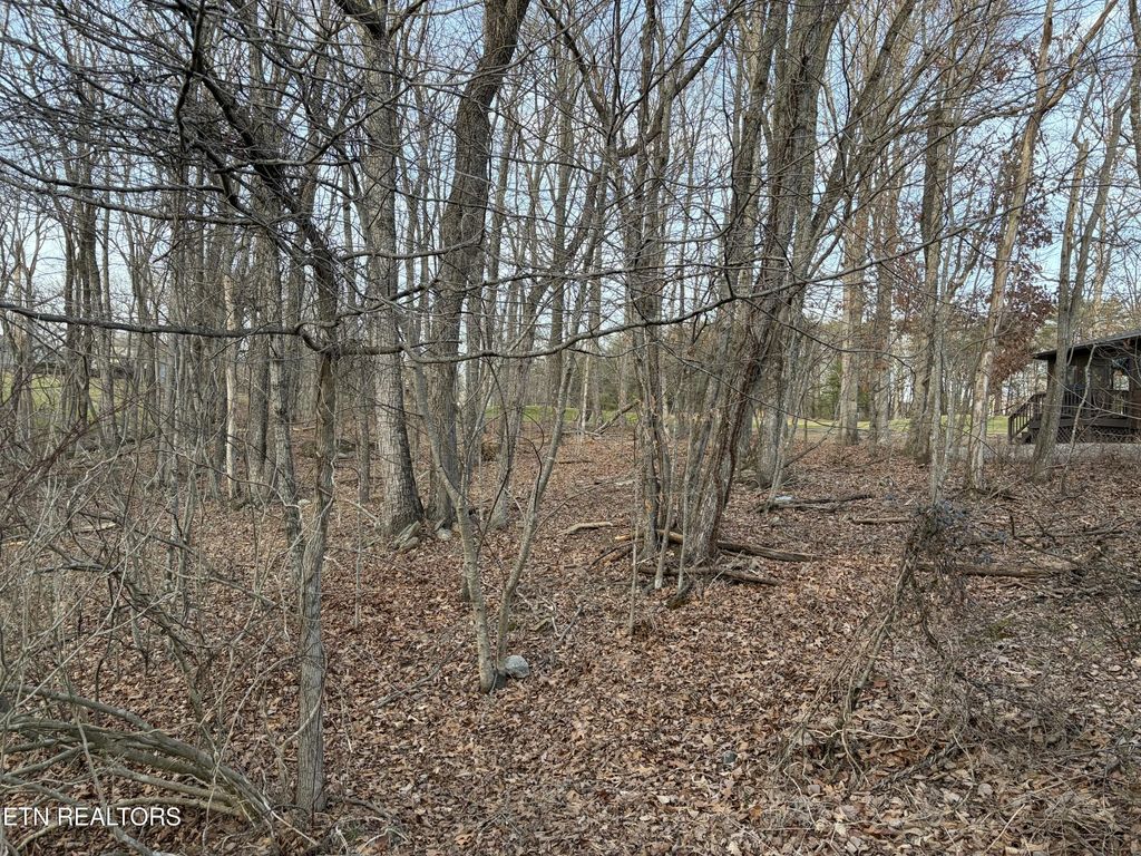 118 Baltusrol Rd, Fairfield Glade