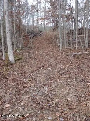 252 Haven Way, Lenoir City