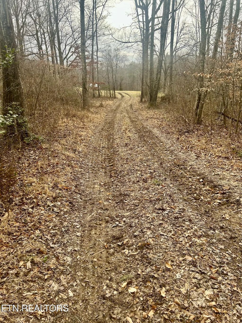 River Rd, Jacksboro