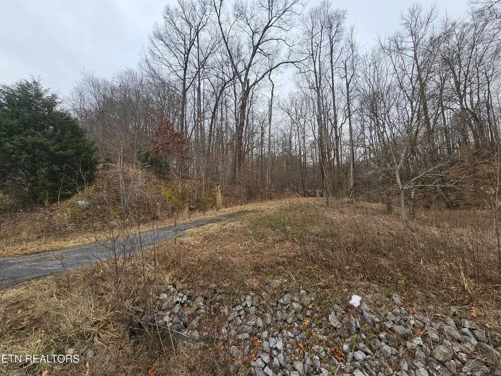 Wilderness Rd, Jonesville