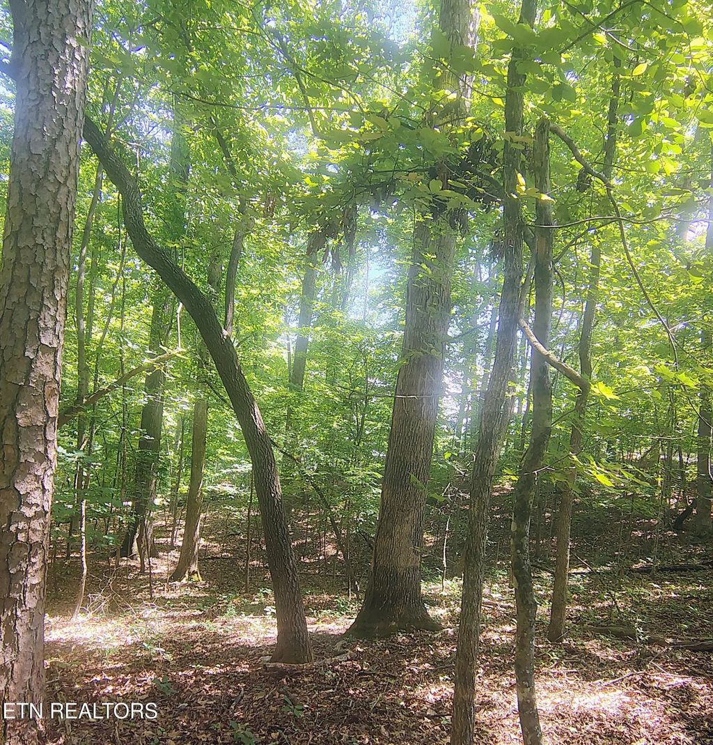 138 Stooksbury Lane, Andersonville
