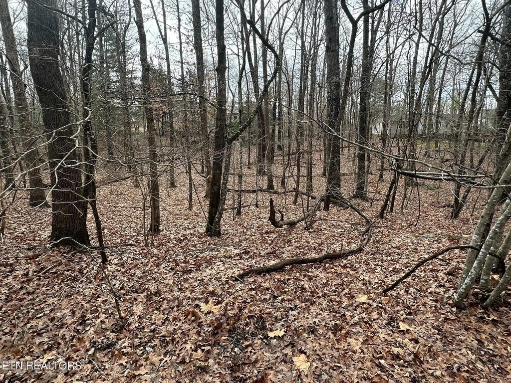 112 Norcross Rd, Fairfield Glade