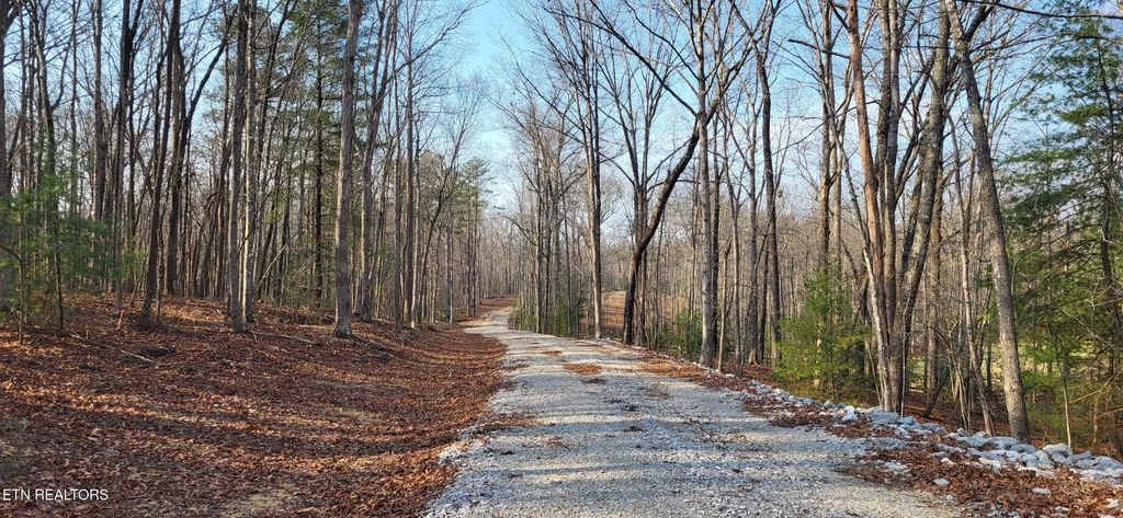 2936 Leatherwood Ford Rd, Jamestown