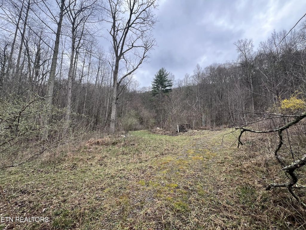 603 Sled Creek Rd, Duff