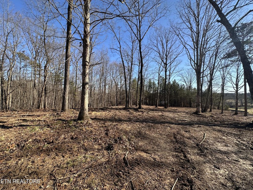 14.53 Ac Pickett Park Hwy, Jamestown