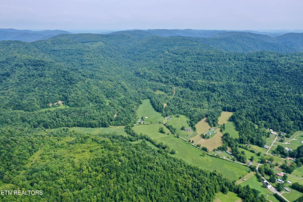 Wool Lane, Jellico