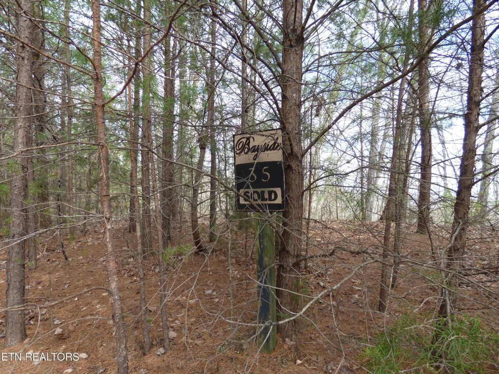 Bayside Blvd Lot #35, Bean Station