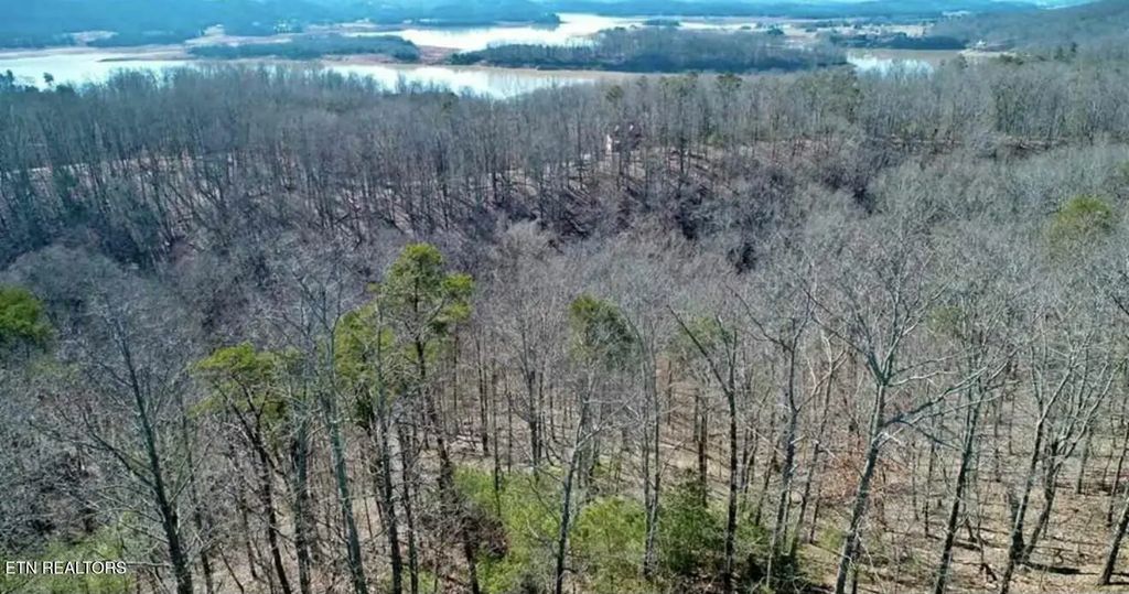 1410 Echota Lane, Mooresburg