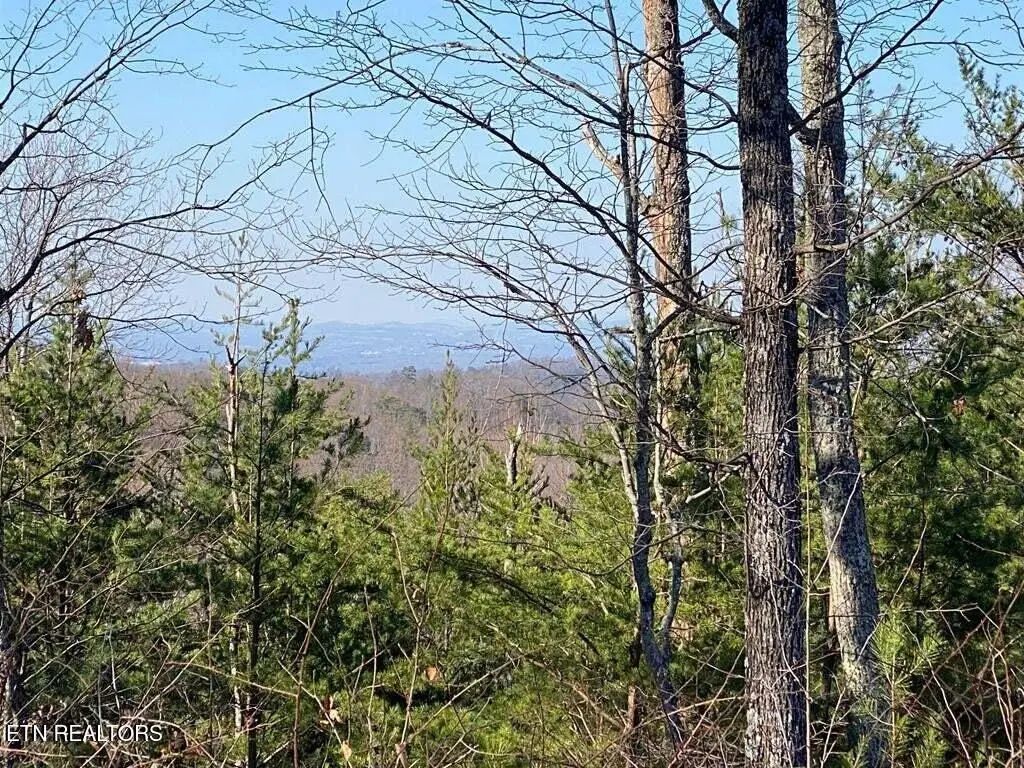 English Springs Way, Newport