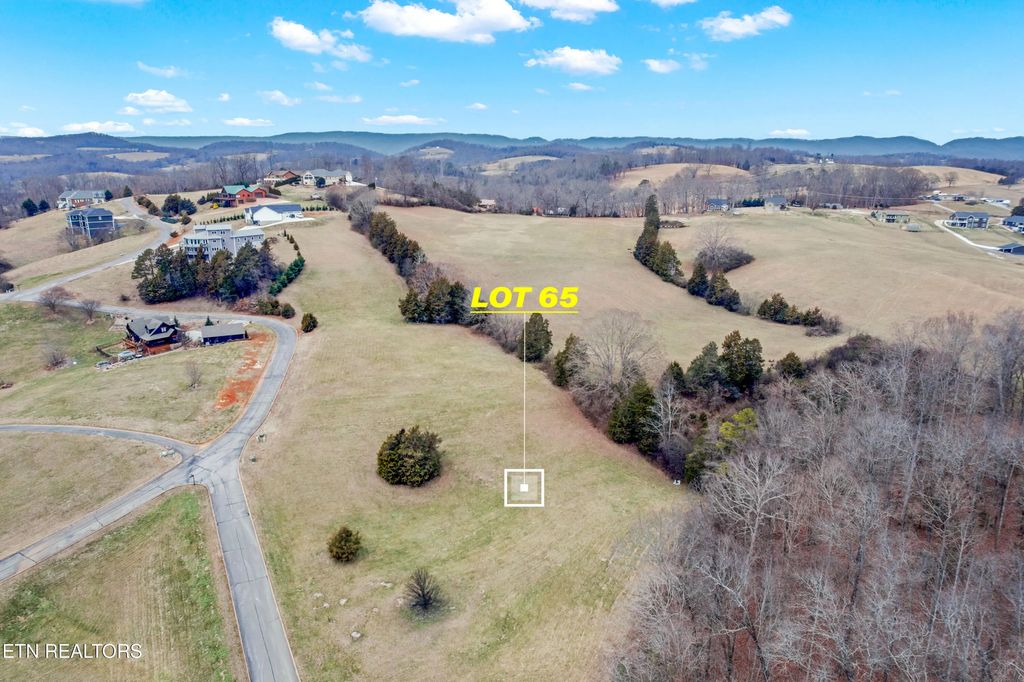 Lot 65 Cow Poke Lane, Rutledge