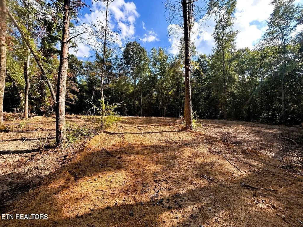 5.5 Acres Pleasant Hill Rd, Ten Mile
