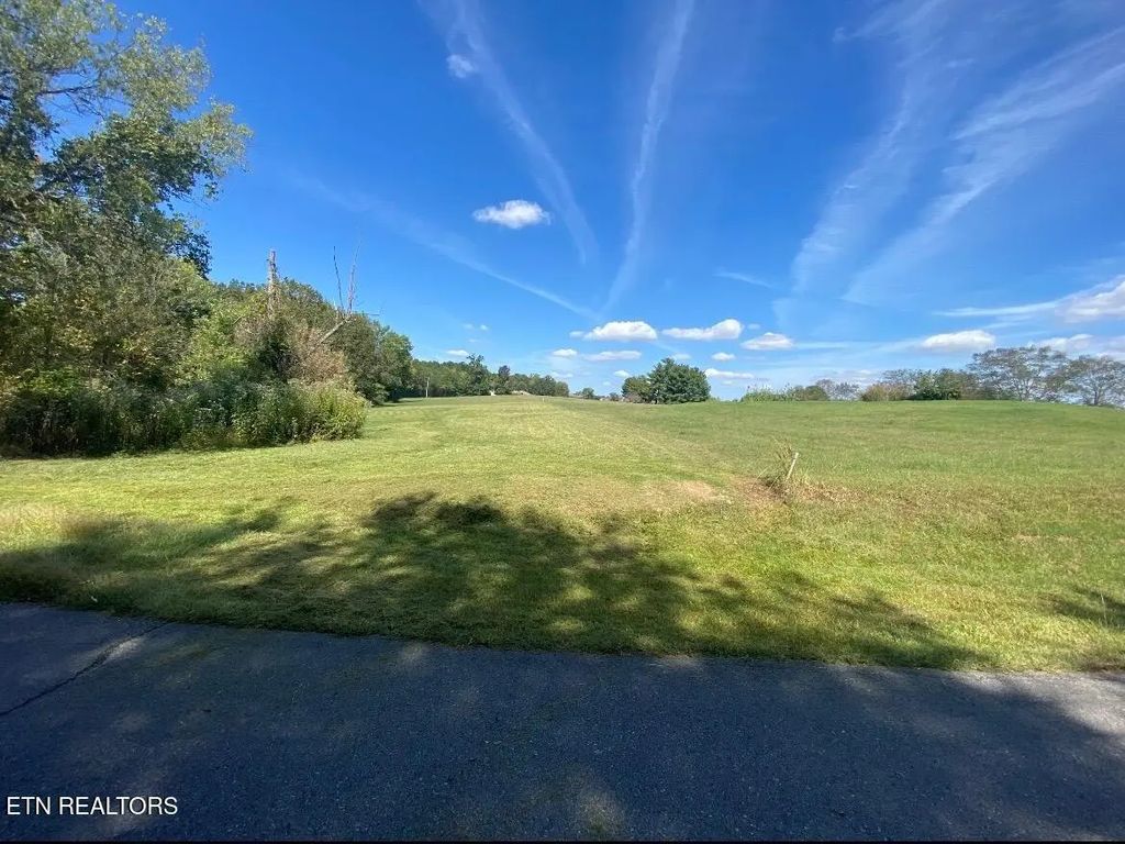 Mountain View Lane, Baneberry